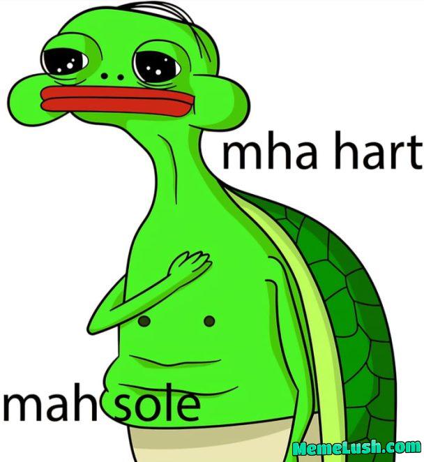 I grew a beautiful peach tree in my front yard. I was so excited to share them with someone, so i left out a box of them with a note for the garbage man. He looked at it and threw it into the back…It hurt my damn feelings!! I grew a beautiful peach tree in my front yard. I was so excited to share them with someone, so i left out a box of them with a note for the garbage man. He looked at it and threw it into the back…It hurt my damn feelings!!