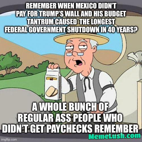 Trump is trying shut down the government again already? Trump is trying shut down the government again already?