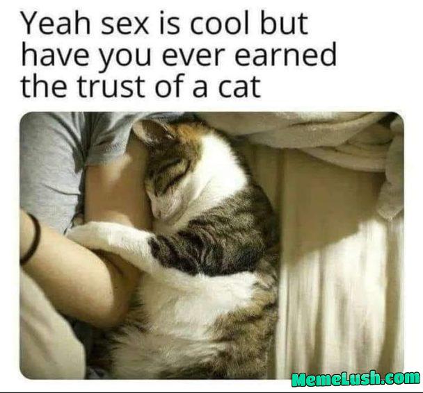 I have not and for that I have the big sad I have not and for that I have the big sad