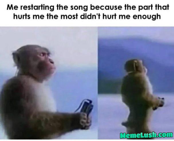 You dumb song – make me cry , make me weep damn it You dumb song – make me cry , make me weep damn it