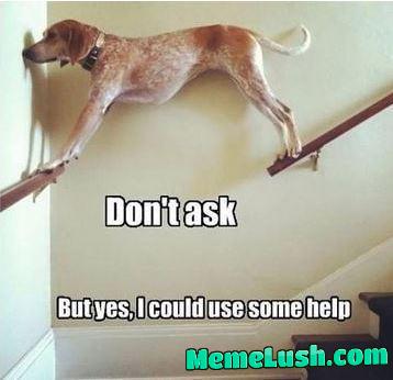 Feeling catsy for a second Feeling catsy for a second