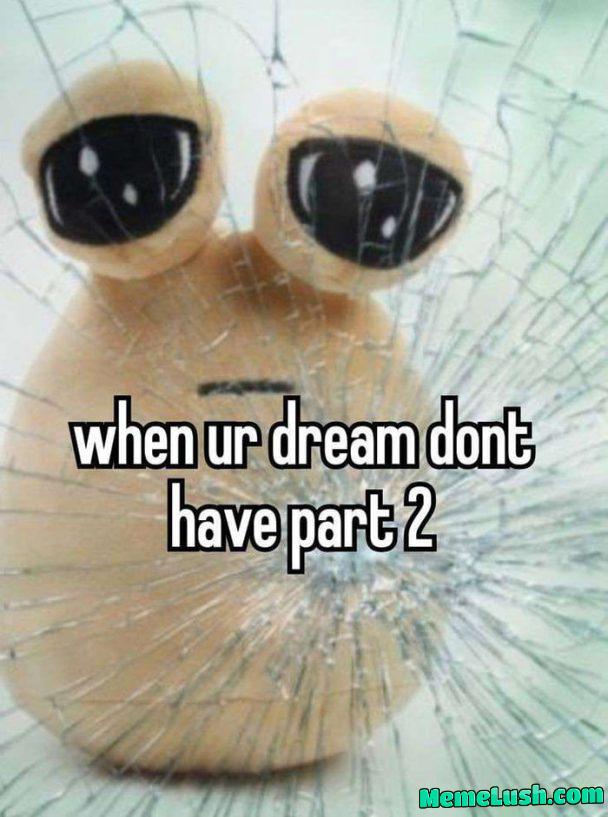 Look at this gormless creature Look at this gormless creature