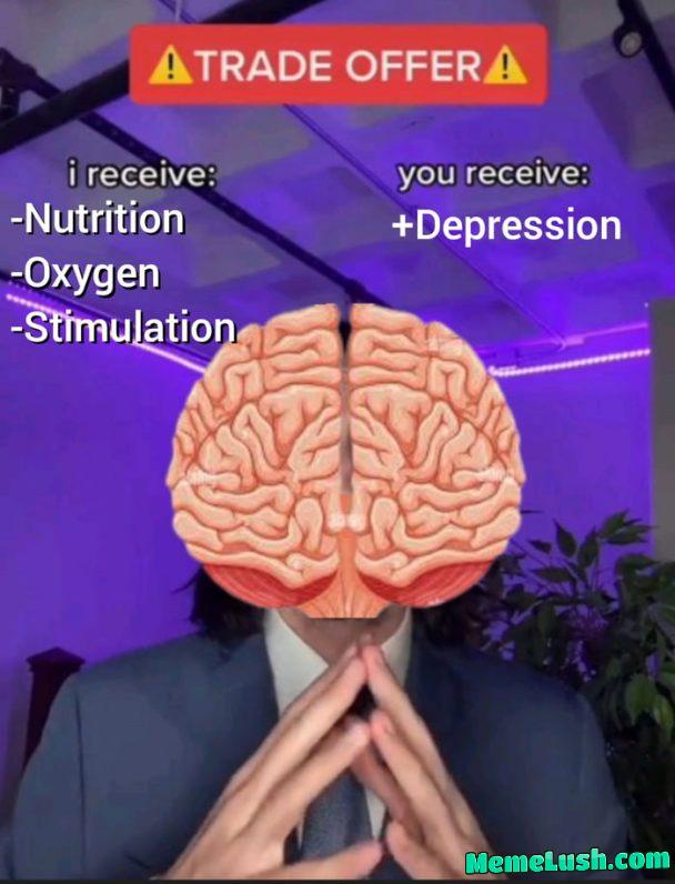 Your the real MVP Brain Your the real MVP Brain