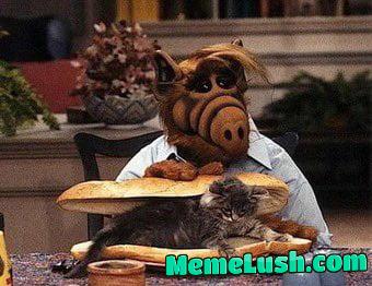 Illegal alien eating cat in Springfield 2024 colored