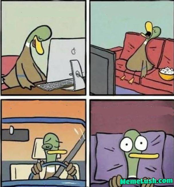 My sleeping status My sleeping status