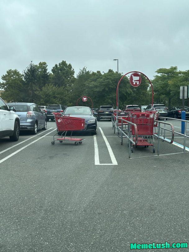 People who don’t return shopping carts are The Worst™️