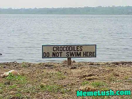 Confusion costs lives Confusion costs lives