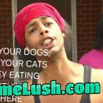 HIDE your dogs