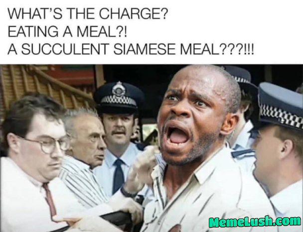 You know your vodoo well You know your vodoo well