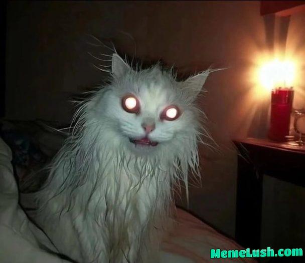 By demons be driven By demons be driven