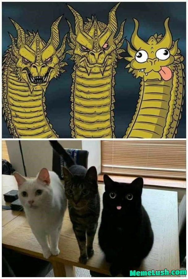 The Three Stooges.