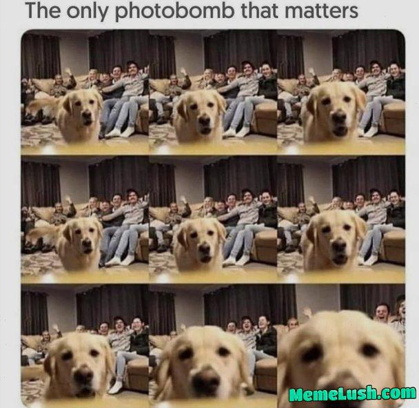 The real star of the show!