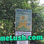 The law of unexpected consequences.