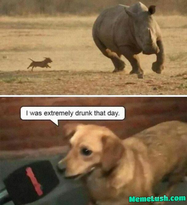 That little boy is a menace 😂