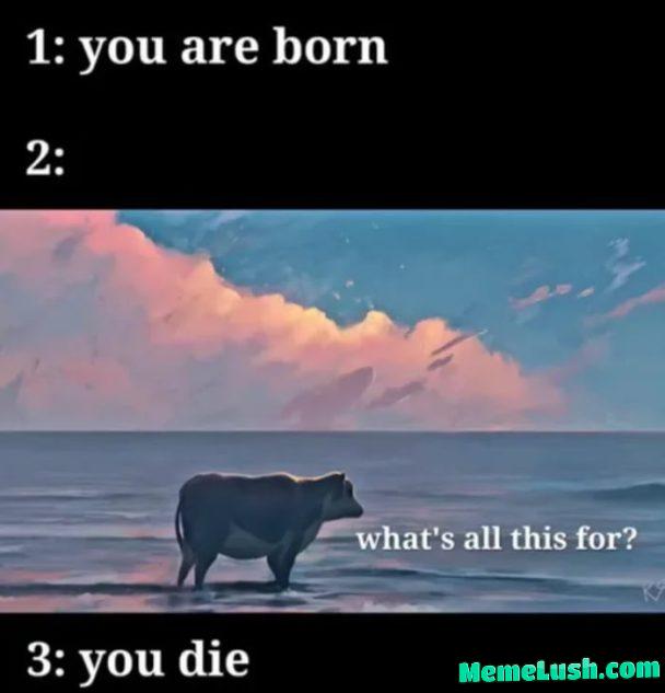 Meaning of life Meaning of life