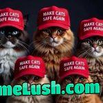 Grab the pussies and make them safe again!