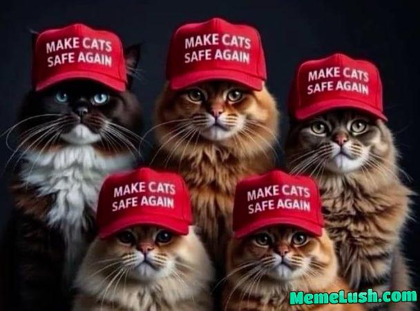 Grab the pussies and make them safe again!