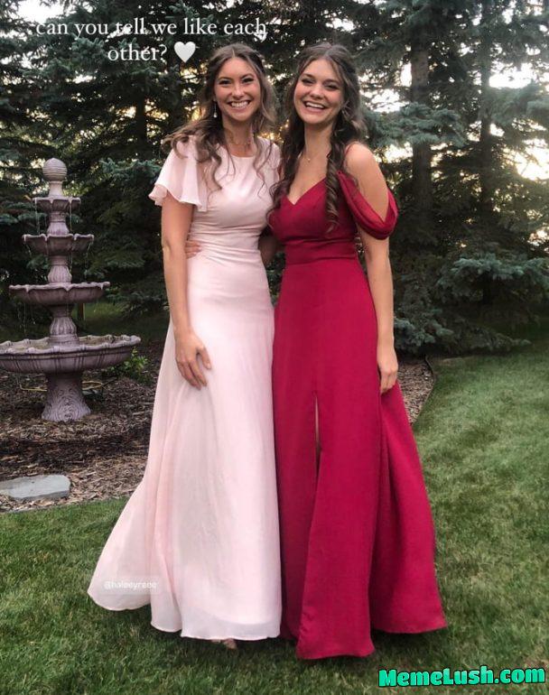 They like eachother, can you tell? They like eachother, can you tell?