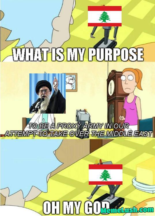 What is my purpose What is my purpose