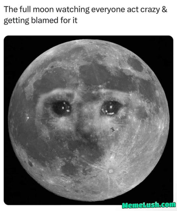 I actually sleep worse on full moons I actually sleep worse on full moons