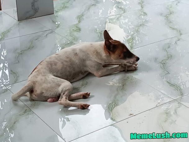 Mom’s glove is so good Mom’s glove is so good