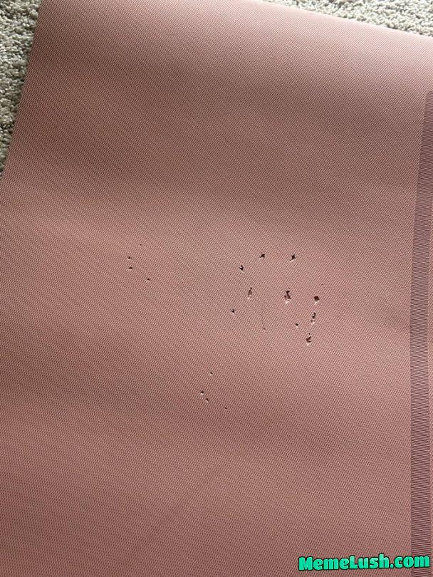 Upon getting home, Cat immediately claws holes in brand new yoga mat Upon getting home, Cat immediately claws holes in brand new yoga mat