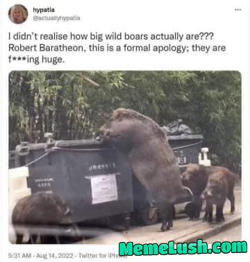 I was foolish… I need to read and get out more