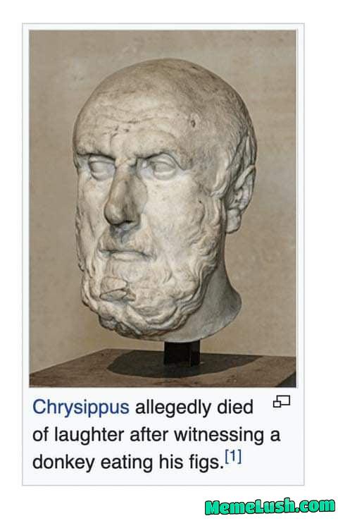 Funniest shit ever seen Funniest shit ever seen