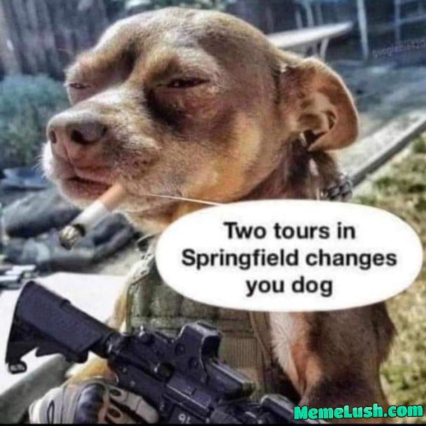 Fighting side by side with the Cats Fighting side by side with the Cats