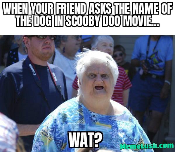 Scooby Doo, where are you? Scooby Doo, where are you?