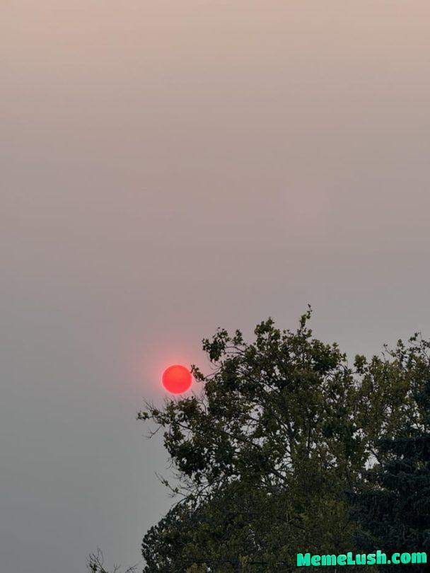 The blood moon rises once again The blood moon rises once again