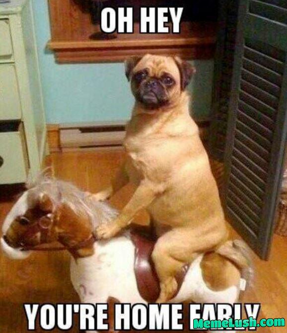 The Lone Ranger The Lone Ranger