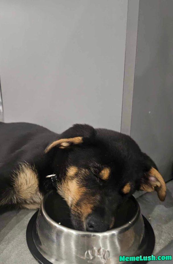 It was such an exhausting day… It was such an exhausting day…