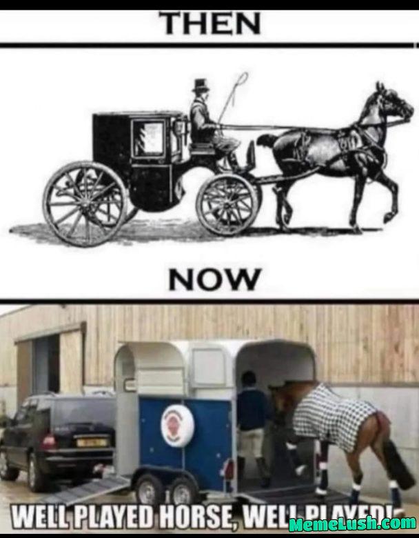 Well played horse Well played horse