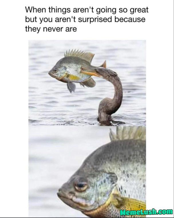 Have a great day Have a great day