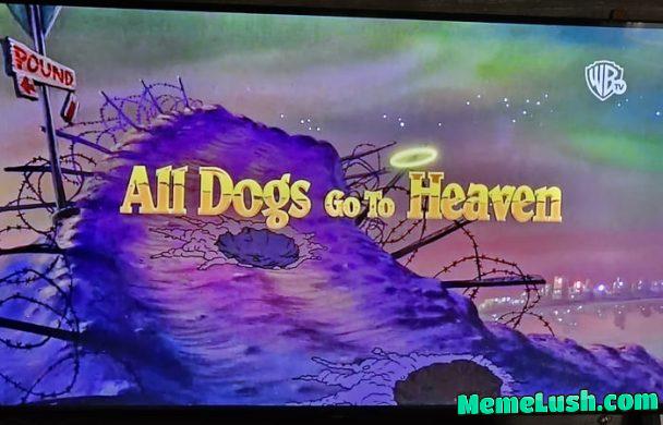 Yeah, feelings day for me, I guess… Yeah, feelings day for me, I guess…