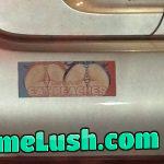 Bumper related bumper sticker