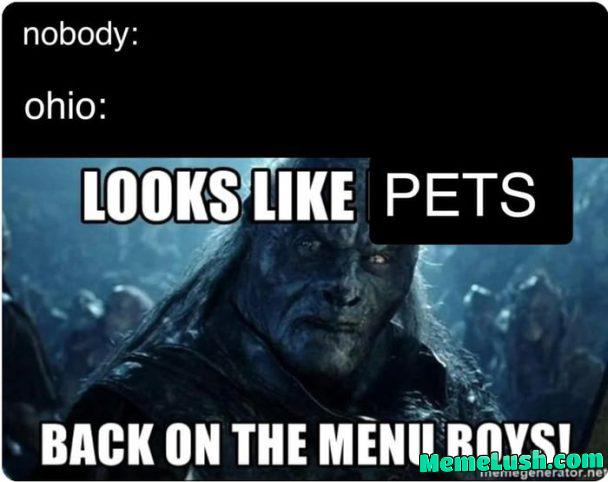 I like turtles I like turtles