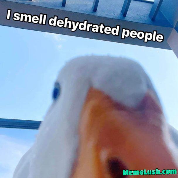 Drink water, or you’ll die Drink water, or you’ll die