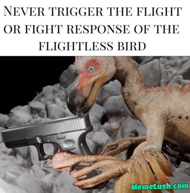 I miss the Yian Kut Ku I miss the Yian Kut Ku