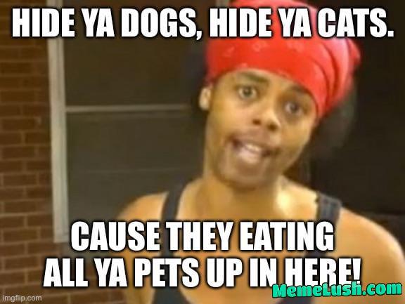 Watching the debate tonight. Watching the debate tonight.