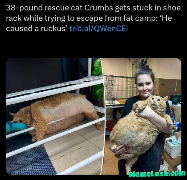 Don’t let the Haitians see him Don’t let the Haitians see him