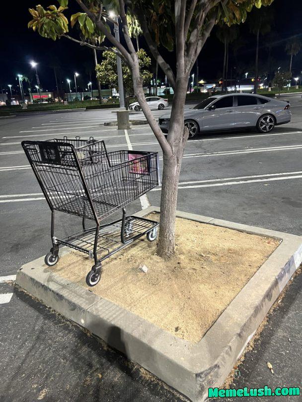 Is it really that hard to put these where they belong? It probably takes more effort to place them up here
