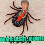 MAGA MAN-TICK