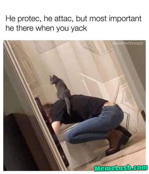 Easy now hooman easy