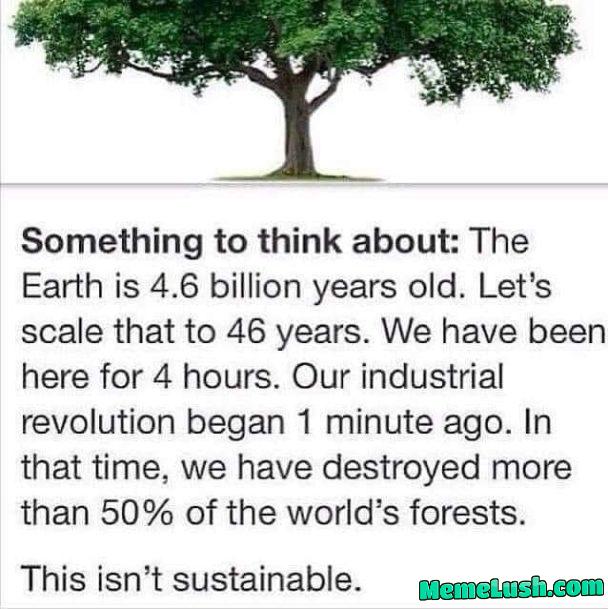 Humans are destroying this world
