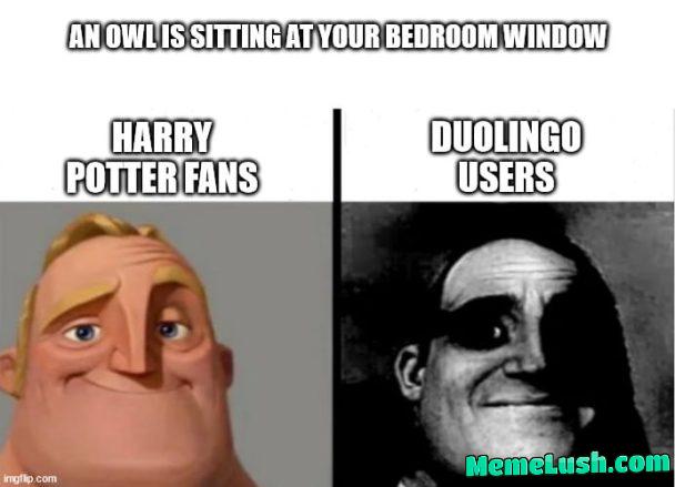 You skipped your spanish lesson again You skipped your spanish lesson again