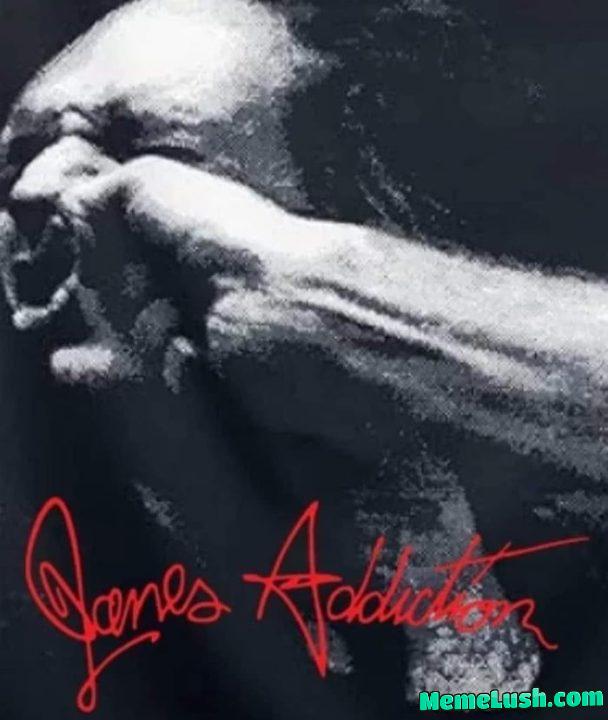 VULGER DISPLAY OF PERRY VULGER DISPLAY OF PERRY