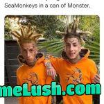 No one reads these anyway