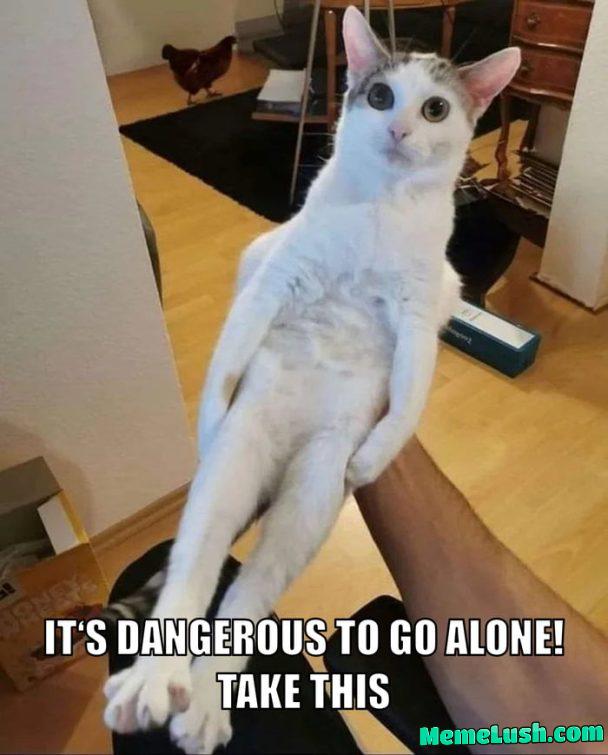 Legend of Cat Legend of Cat